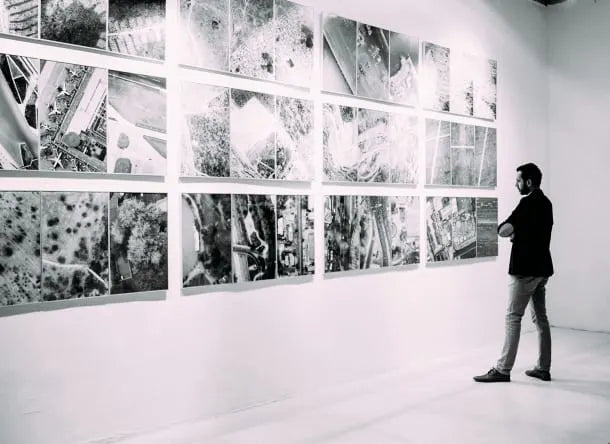 What is an art curator