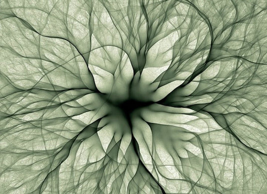 Quantum Waves