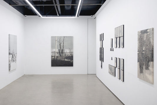[Together Apart, Covet the senses of three.] Exhibition Installation View