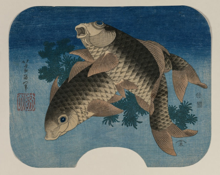 Katsushika Hokusai, Carp Swimming by Water Weeds, 1831. Accession no. 1943.3 via The Cleveland Museum of Art