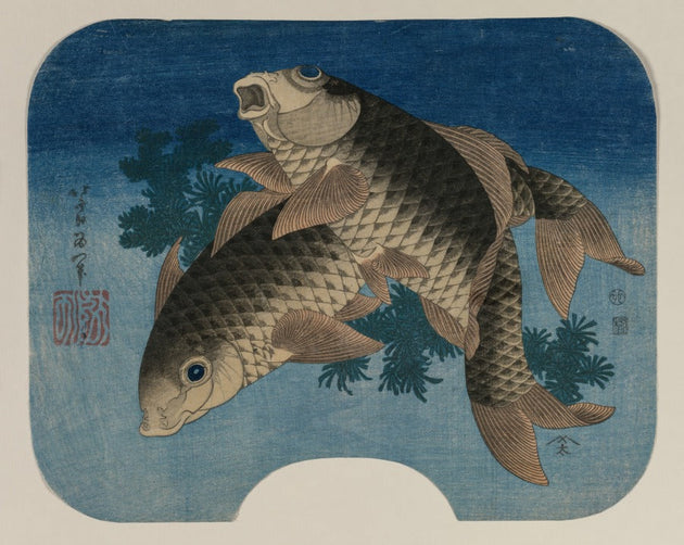 Katsushika Hokusai, Carp Swimming by Water Weeds, 1831. Accession no. 1943.3 via The Cleveland Museum of Art