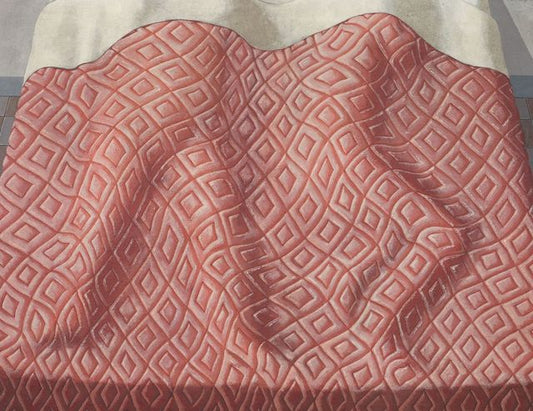 Domenico Gnoli, Two Sleepers (Due dormienti), 1966 via Artsy; Peggy Guggenheim Collection