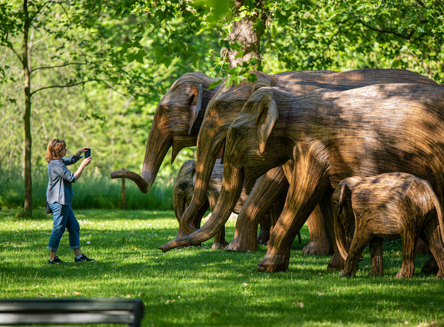 Elephant Partners LOVE BRAND & Co. Partners with Elephant Family USA as the Official ...